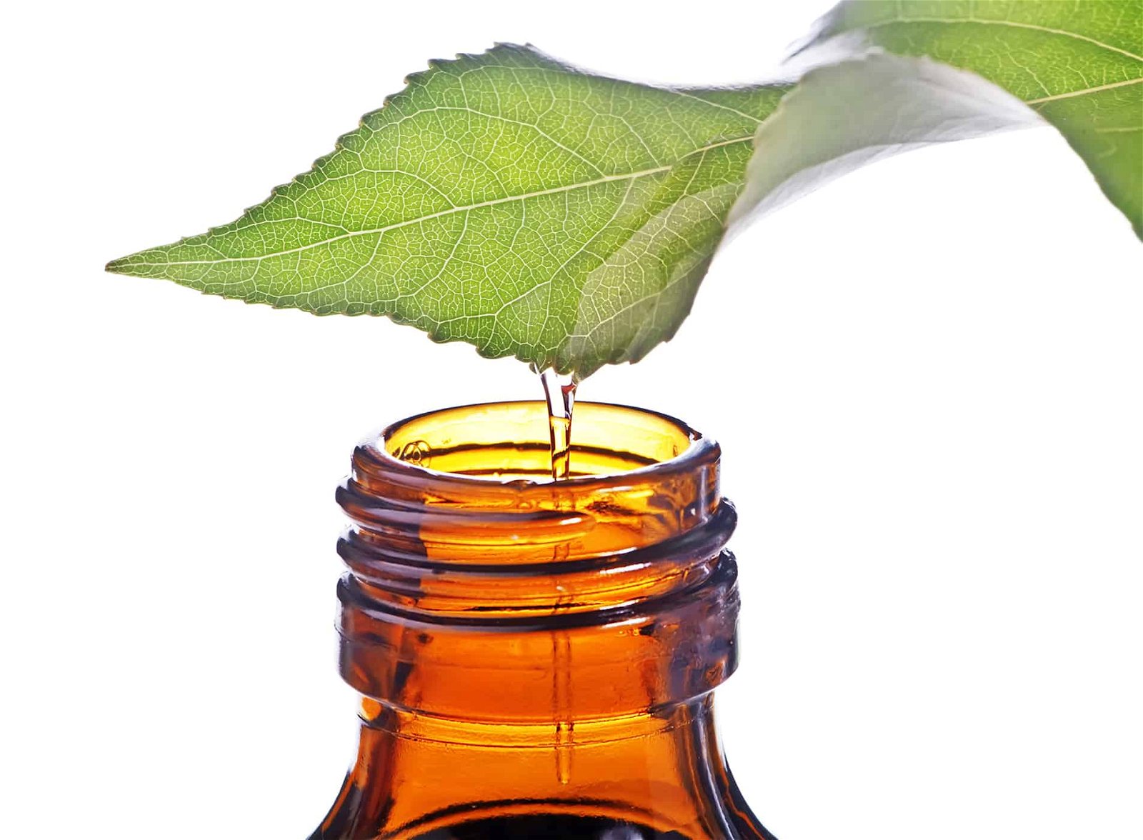 Introduction to Pure Organic Natural Essential Oils