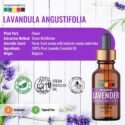 best_lavender_essential_oil_2