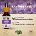 best lavender essential oil