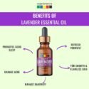 lavender essential oil benefits