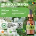 pure tea tree oil
