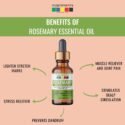 rosemary essential oil for hair growth