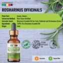 rosemary essential oil uses