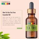 tea tree essential oil for face