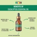 benefits of eucalyptus essential oil