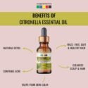 citronella essential oil benefits