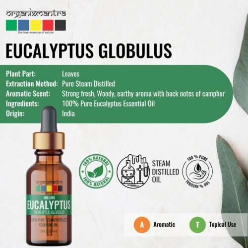 eucalyptus essential oil for hair