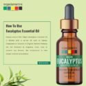 eucalyptus essential oil for skin