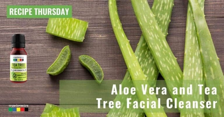 Aloe Vera and Tea Tree Facial Cleanser