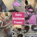 how-to-make-rose-water-kannauj-4-scaled