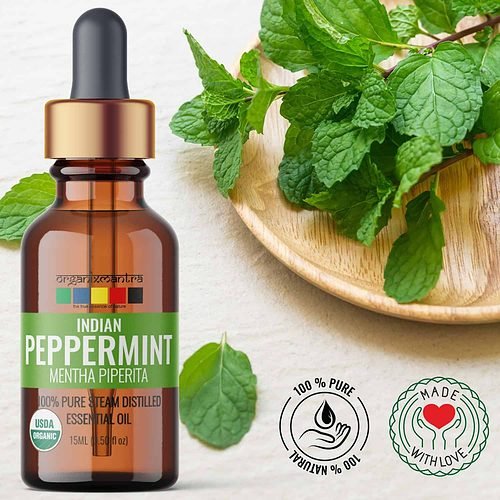 Indian Peppermint Essential Oil, Organic Pure Natural Essential Oils