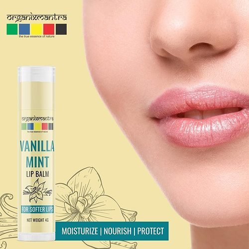 Natural Vanilla Lip Balm Organic Lip Balm
