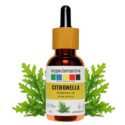 citronella essential oil