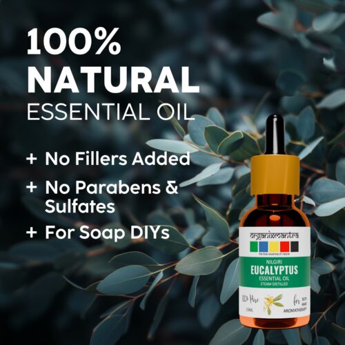 eucalyptus essential oil uses