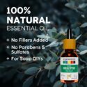 eucalyptus essential oil uses