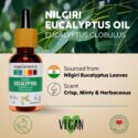 natural eucalyptus essential oil