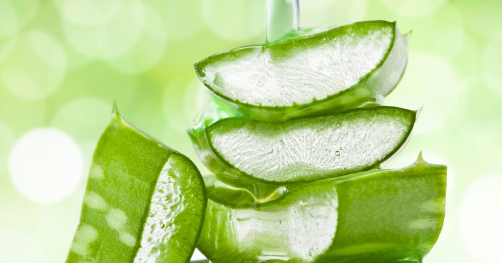 aloe vera extract for skin care