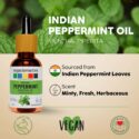 indian peppermint essential oil