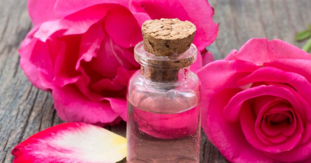 rose water for skin hydration